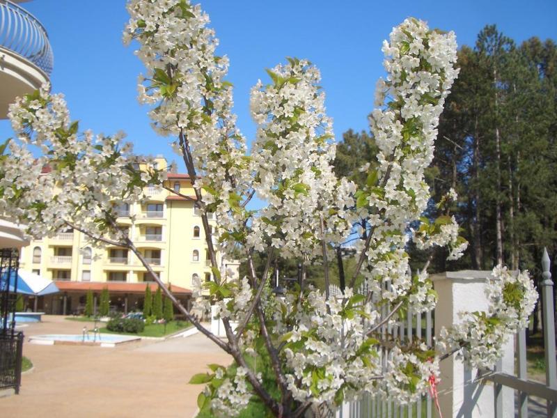 Aparthotel Complex Sunny Dreams à Slantchev Briag Extérieur photo